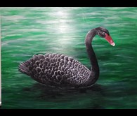 Black Swan