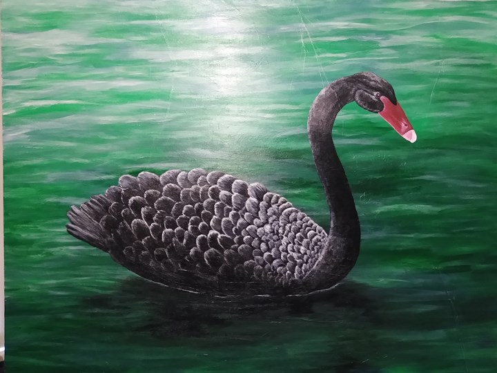 Black Swan