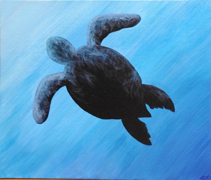 Sea Turtle