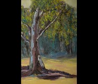 ‘Gum Tree on a Rainy Day’