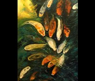 Koi