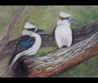 Kookaburra Landing