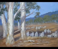 Sheep Country