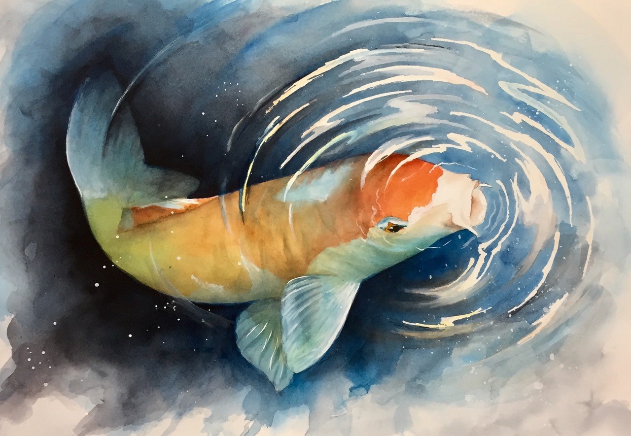 Koi
