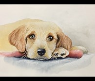 Puppy Love