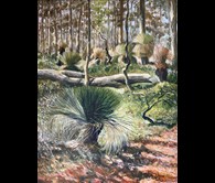 Donnybrook grass trees