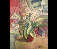 Joan and Neville’s flowers with cat