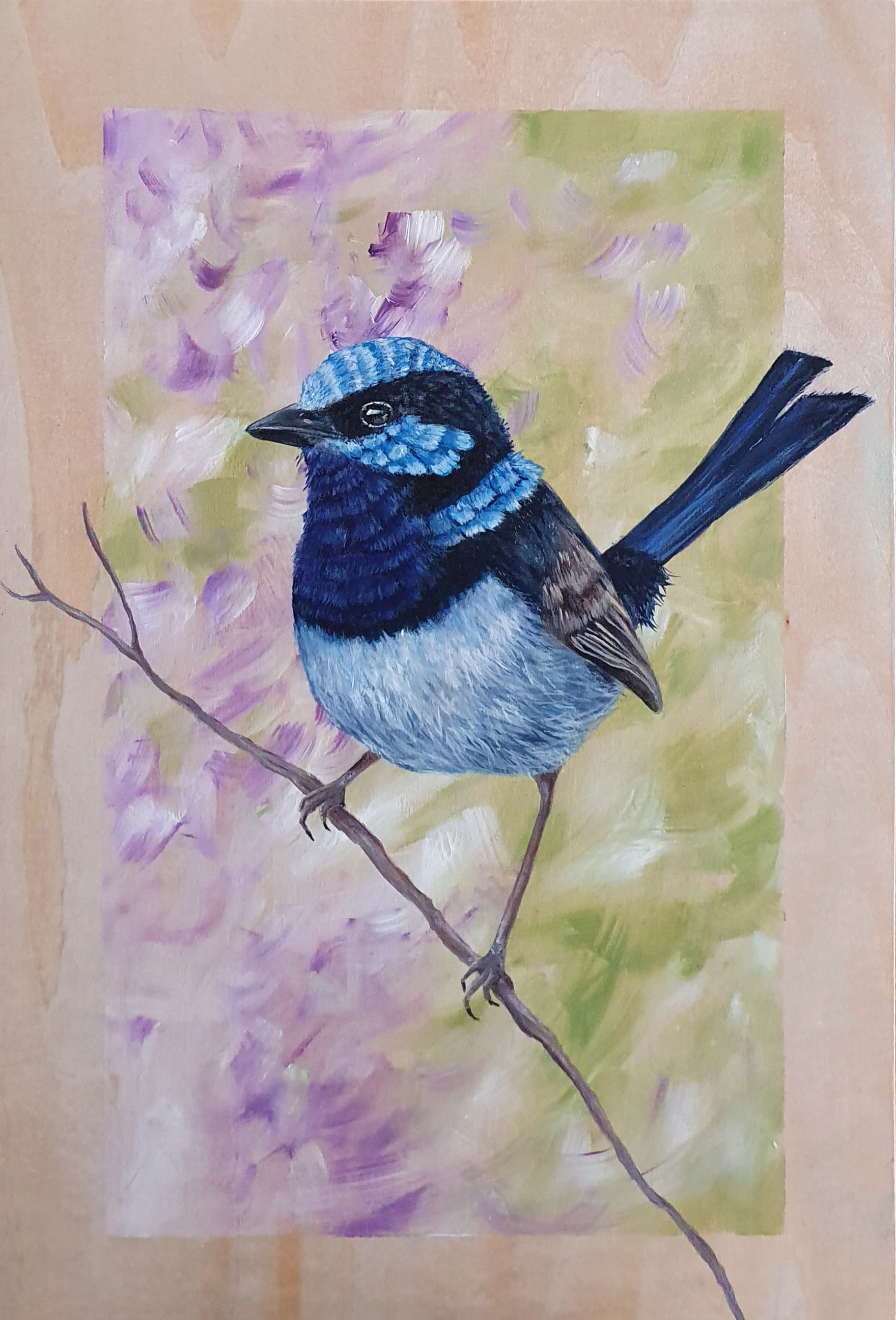 Blue Wren #2