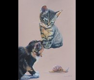 2 Kittens and a Snail