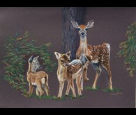 Deer Deer Deer