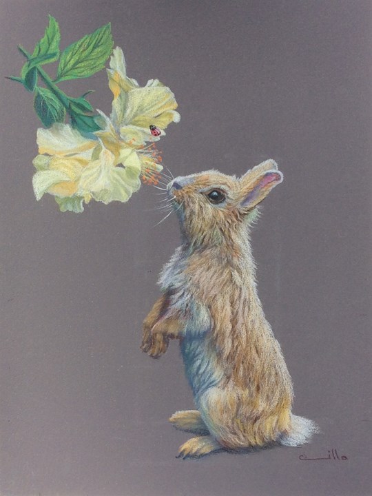 Spring