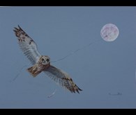 The moons a balloon