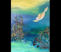 'Turtle dive for Treasure