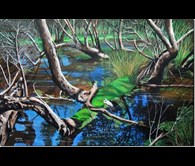   “Canning Wetlands 6” Kent Street Weir