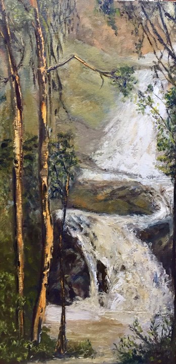 Burrinjuck Waterfall