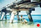 Mangels Bay Rockingham