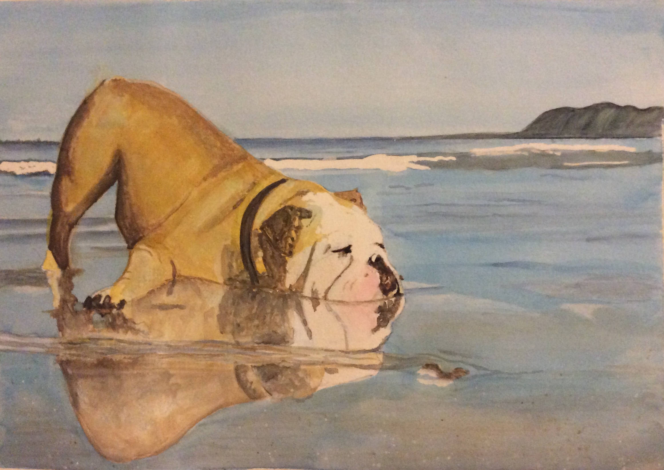 Doing The Downward Dog