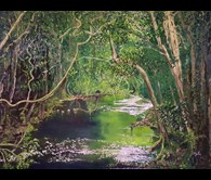 Peering into the Daintree